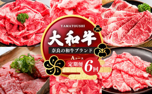 【定期便6回】大和牛 お肉の定期便 A 1156992 - 奈良県五條市