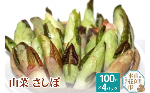 山菜 さしぼ 100g×4パック（発送は4月～5月頃） 475249 - 秋田県由利本荘市