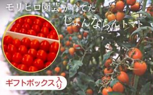 モリヒロ園芸が育てたじょんならんトマト（ギフトボックス入り） 1158654 - 香川県宇多津町