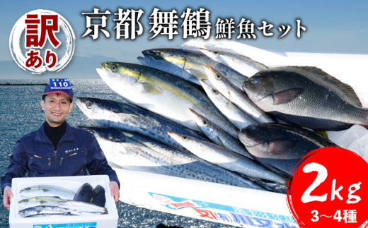 訳あり 鮮魚 詰め合わせ セット 3～4種 約2kg 2キロ 旬 厳選 朝 獲れ 鮮度 抜群 冷蔵 送料無料 あじ サバ ススキ つばす 鯵 鯖 鰯  サゴシ グレ 鯛 カマス 赤カレイ いわし レンコダイ トビウオ / 京都府舞鶴市 