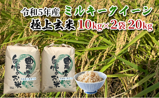 【農家直送/令和5年産新米】長野県産「ミルキークイーン」（10kg×2袋）（炊飯食味値91点の極上玄米計20ｋｇ） [№5659-1502]