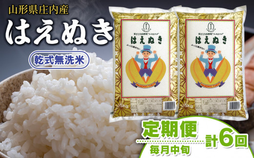 【令和5年産】 山形県 庄内産 乾式無洗米 はえぬき 10kg (5kg×2袋