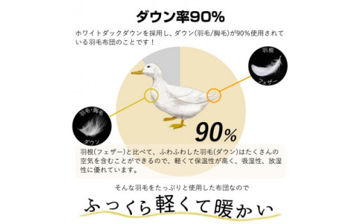 洗える 羽毛肌掛け布団 シングルサイズ ダウン90% 0.3kg ダウンケット