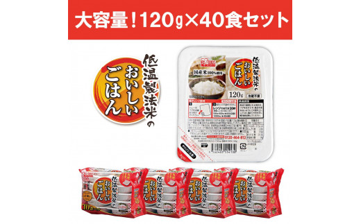 120g×40食】 パックごはん 低温製法米のおいしいごはん アイリス