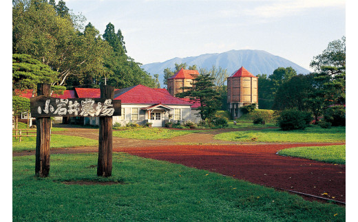 小岩井農場は1891（明治24）年の開設。