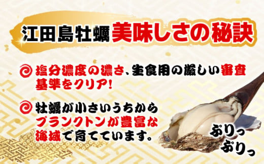 2月24日（土）着】特選 牡蠣三昧！【生牡蠣】広島牡蠣 むき身４kg 牡蠣