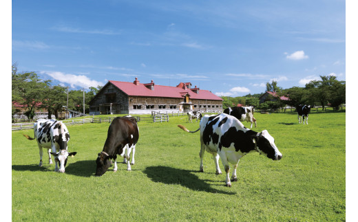 農場内では約2,000頭の牛が飼育されています。