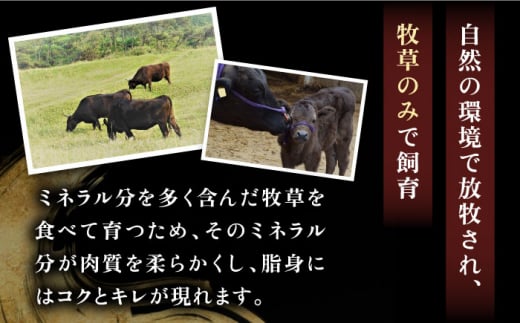 ステーキ 人気 和牛  壱岐牛 希少 柔らかい やわらかい 贈り物 ギフト  肉