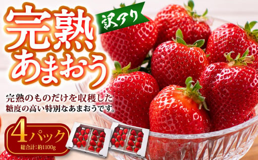 【訳あり】完熟あまおう 約275g×4パック 合計約1.1kg 【2025年3月下旬出荷予定】いちご 苺 イチゴ 果物 フルーツ 1488524 - 福岡県香春町