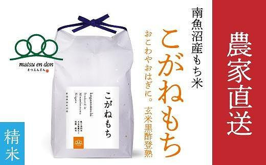 令和5年産】もち米玄米 南魚沼産こがねもち 5kg _AG - 新潟県南魚沼市