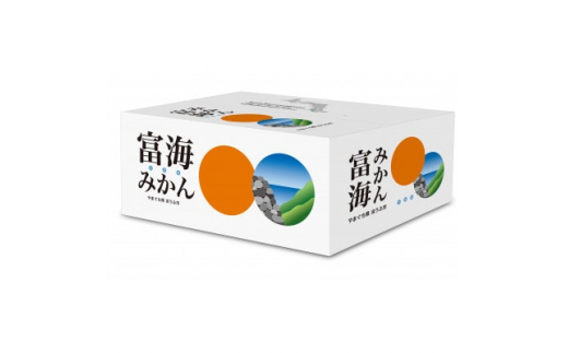 ＜訳あり＞今年は少し大きめ。富海産濃い味みかん　3kg【1461331】 1124662 - 山口県防府市