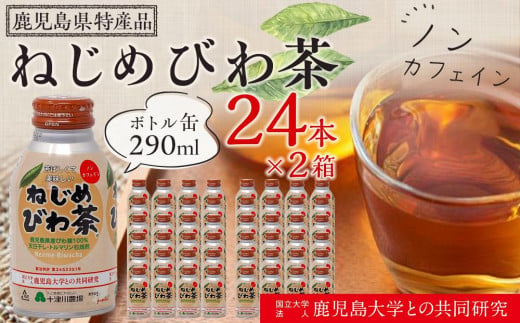 『ねじめびわ茶』ボトル缶【2ケース】（24本入り×2箱） 837623 - 鹿児島県南大隅町