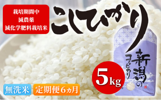 令和5年 栽培期間中減農薬・減化学肥料栽培米こしひかり5kg 無洗米 定期便6ヶ月 1158918 - 新潟県新潟市