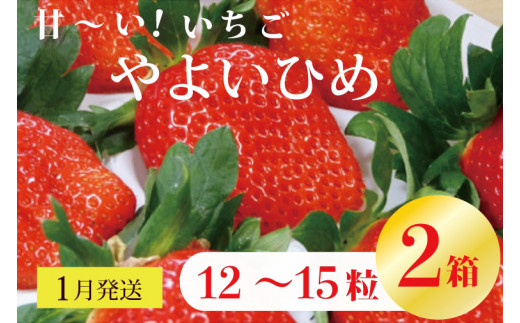 V-11 【1月発送】甘～い！いちご　やよいひめ　12粒～15粒入り　2箱 571681 - 茨城県行方市