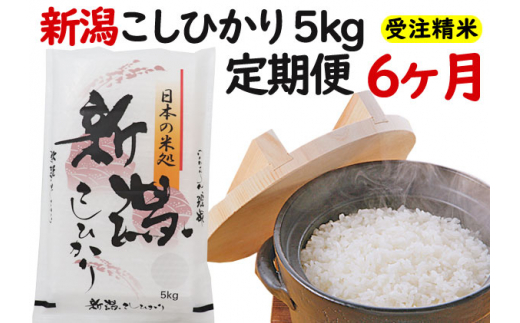 米 6ヶ月定期便 令和5年産 新潟 コシヒカリ 5kg 白米 精米 精米仕立て