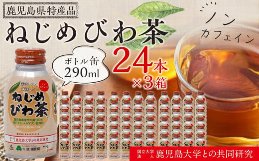 『ねじめびわ茶』ボトル缶【3ケース】（24本入り×3箱） 837624 - 鹿児島県南大隅町