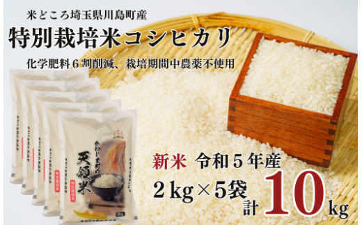 新米 特別栽培米 コシヒカリ 白米 2kg （2kg×1袋）食味値80以上 栽培