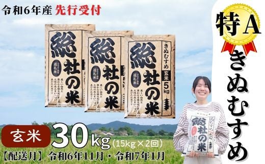 【令和6年産米】特Aきぬむすめ【玄米】30kg 定期便（15kg×2回）岡山県総社市産〔令和6年11月・令和7年1月配送〕24-030-012 1324658 - 岡山県総社市