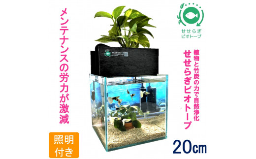 水槽セット　せせらぎビオトープ　20cm型照明　植物　魚　(黒） 1163809 - 広島県東広島市