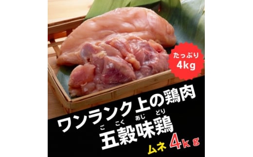 五穀味鶏(ごこくあじどり)ムネ肉4kgセット(2kg×2パック)【1435721】 1158602 - 岩手県軽米町