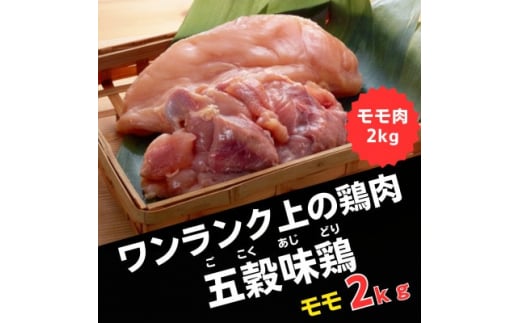 五穀味鶏(ごこくあじどり)モモ肉2kg【1435709】 1158601 - 岩手県軽米町