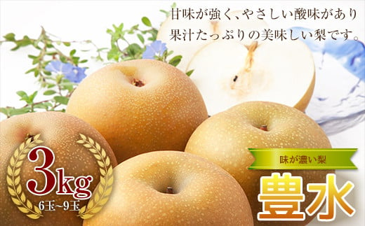 《2024年秋出荷》味が濃い梨 豊水3kg （6～9玉） F23R-632 1173199 - 福島県白河市