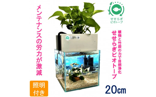 水槽セット　せせらぎビオトープ　20cm型照明　植物　魚　(グレー） 1163812 - 広島県東広島市
