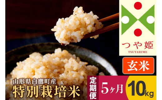 定期便3ヶ月》【玄米】つや姫 10kg×3回（特別栽培米）令和5年産 山形県