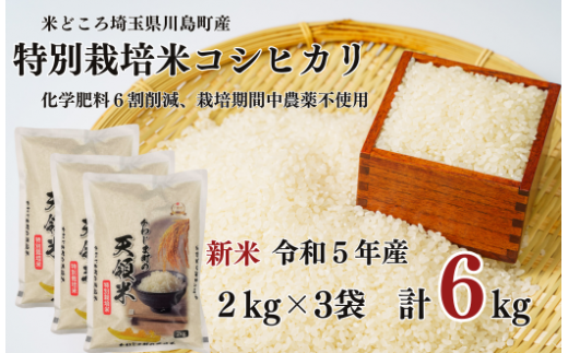 新米 特別栽培米 コシヒカリ 白米 6kg （2kg×3袋）食味値80以上 栽培 ...