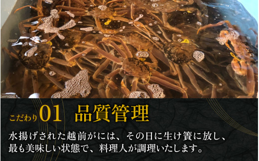 ＜12月発送分＞蟹好きにおすすめ！老舗カニ専門店の「越前ずわいがに」(500g～700g) [H-085030]|株式会社やなぎ町