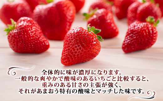 【2024年2月下旬までに出荷予定】【訳あり】完熟あまおう 約275g×4パック 合計約1.1kg