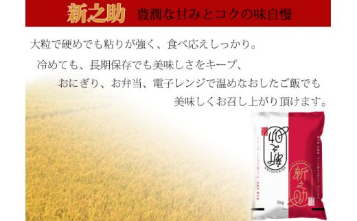 ふるさと納税】米 ６ヶ月定期便 令和５年産 新潟 新之助 ５kg 白米