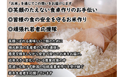 米 6ヶ月定期便 令和5年産 新潟 コシヒカリ 5kg 白米 精米 精米仕立て