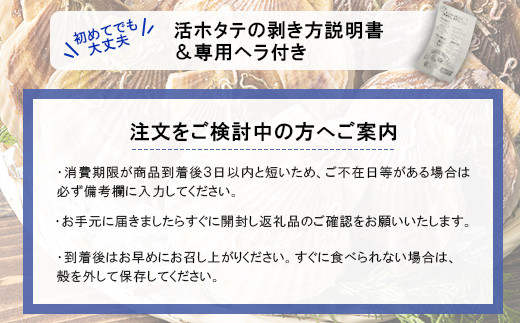 北海道 羽幌産 殻付き活ホタテ 約3kg（15～20枚・ヘラ付き【09101