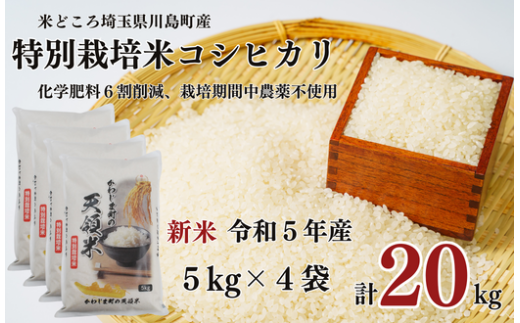 《農薬８割減》新米コシヒカリ20kg《5kg×4袋》