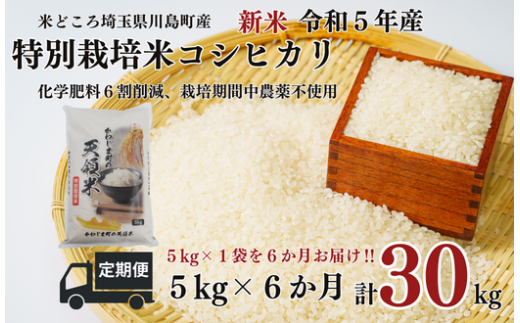 新米 定期便 6か月連続お届け 特別栽培米 コシヒカリ 白米 5kg （5kg×1