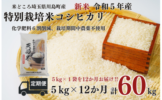 新米 定期便 12か月連続お届け 特別栽培米 コシヒカリ 白米 5kg （5kg