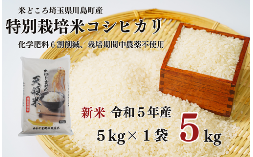 新米 特別栽培米 コシヒカリ 白米 5kg （5kg×1袋）食味値80以上 栽培