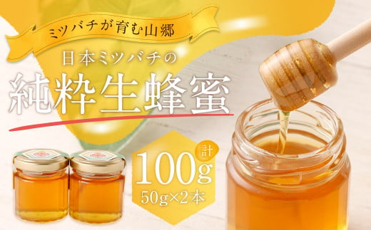 025-987 日本 ミツバチ の 純粋 生蜂蜜 100g 1162655 - 大分県豊後大野市