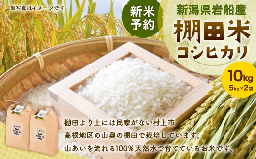 【新米受付・令和6年産米】NB4035 新潟県岩船産　棚田米コシヒカリ5kg×2 403135 - 新潟県村上市