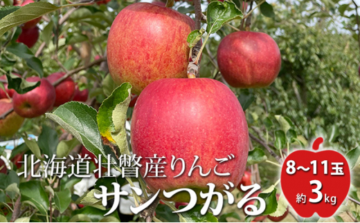 りんごのふるさと納税 カテゴリ・ランキング・一覧【ふるさとチョイス】