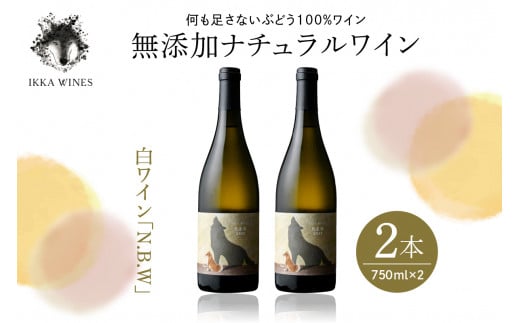 無添加ナチュラルワイン　白ワイン「2022N・B・W」2本セット　hi004-hi025-014