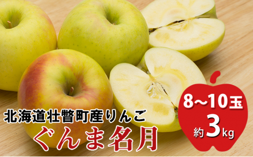 [№5724-0900]＜2024年11月中旬よりお届け＞ 北海道壮瞥町 りんご 「ぐんま名月」8～10玉約3kg 果物 フルーツ くだもの 果樹