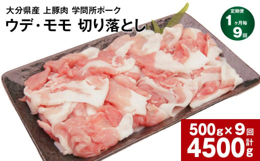 【1ヶ月毎9回定期便】大分県産上豚肉 「学問所ポーク」 ウデ・モモ 切り落とし 500g 計4.5kg 1162423 - 大分県竹田市