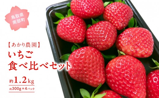 【AK02_3】【完熟出荷】いちご食べ比べセット 300g×4パック　「とっておき」1パックとおすすめの3パック（とっておき 紅ほっぺ 章姫 よつぼし かおり野 すず）＜3月出荷＞ 1160200 - 鳥取県南部町