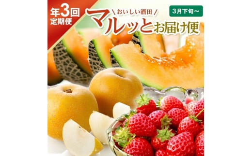 【3回定期便】おいしい酒田 マルっとお届け便2026(1) 3月下旬～ (いちご、紅花メロン、刈屋梨) SE0484 2357389 - 山形県酒田市