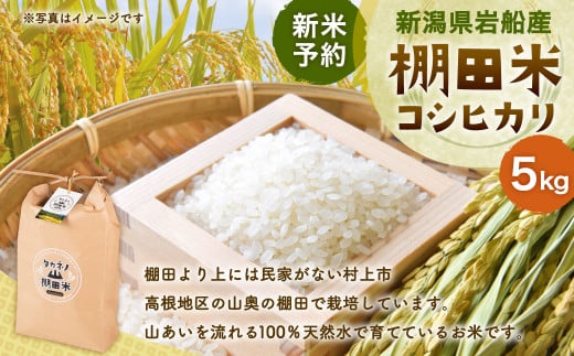 【新米受付・令和6年産米】NA4038 新潟県岩船産 棚田米コシヒカリ5kg 403119 - 新潟県村上市