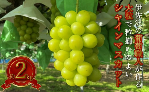 長井産菊芋（きくいも）乾燥チップス80g×3袋_E114 / 山形県長井市