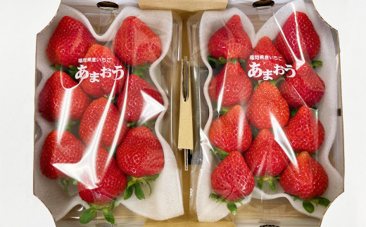 【3回定期便】福岡県産　あまおう 合計約1.62kg 約270g×2パック×3回 いちご 苺