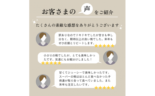 ふるさと納税 ＜2024年 先行予約＞本場 山梨 訳あり 不揃い 桃 もも 大